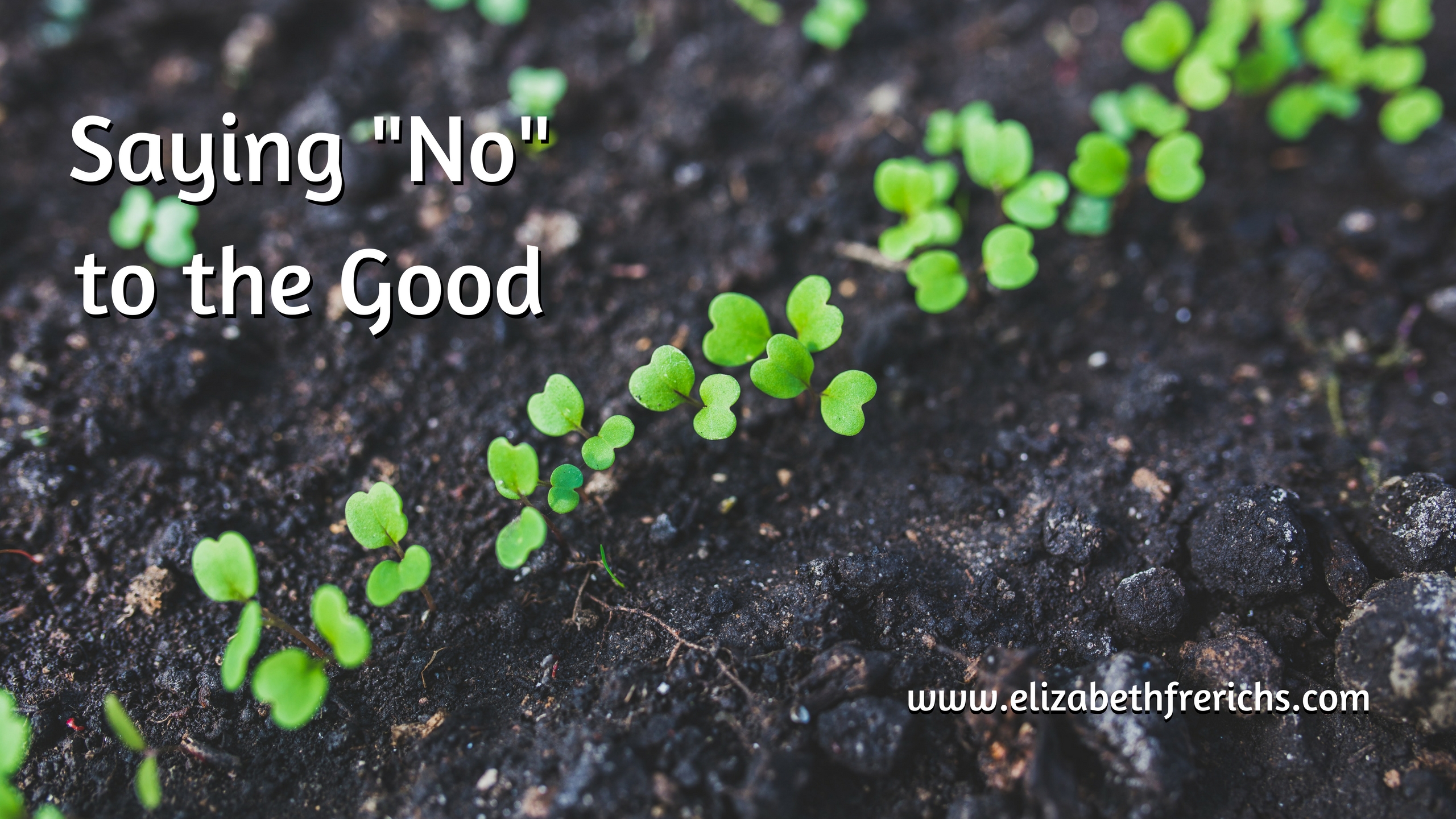 Blog_ Saying No to the Good